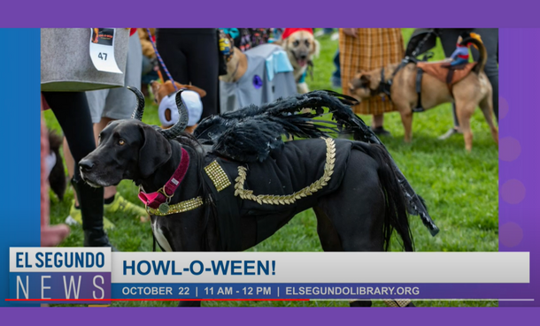 howl o ween event black dog in costume el Segundo media