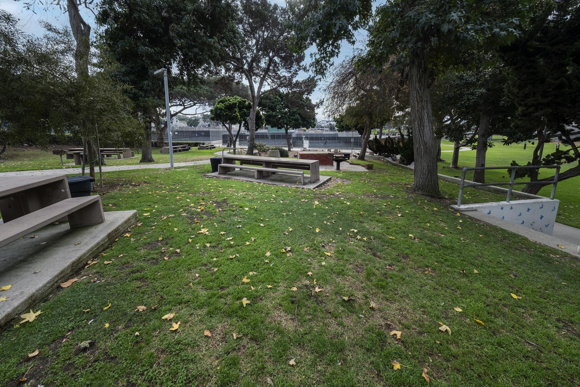 Picnic tables in green grass with trees