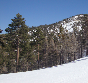 Teen Center Snow Trip