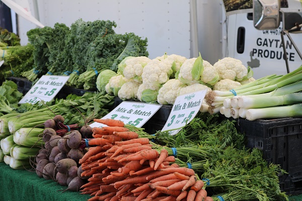 Picture of carrots, kale, beets, cauliflower